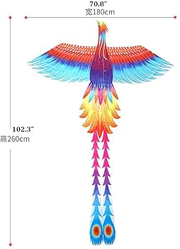 Amazon.co.jp: 凧 カイト カイト 凧 フェニックスカイトとカイト